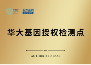 华大牌.png